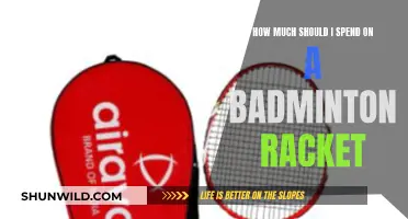 Choosing a Badminton Racket: How Much to Spend?
