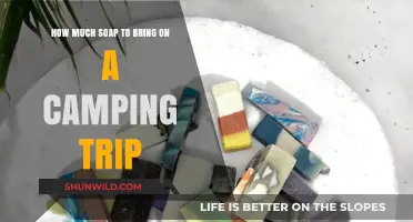Essential Camping Soap Packing Tips: How Much to Bring?