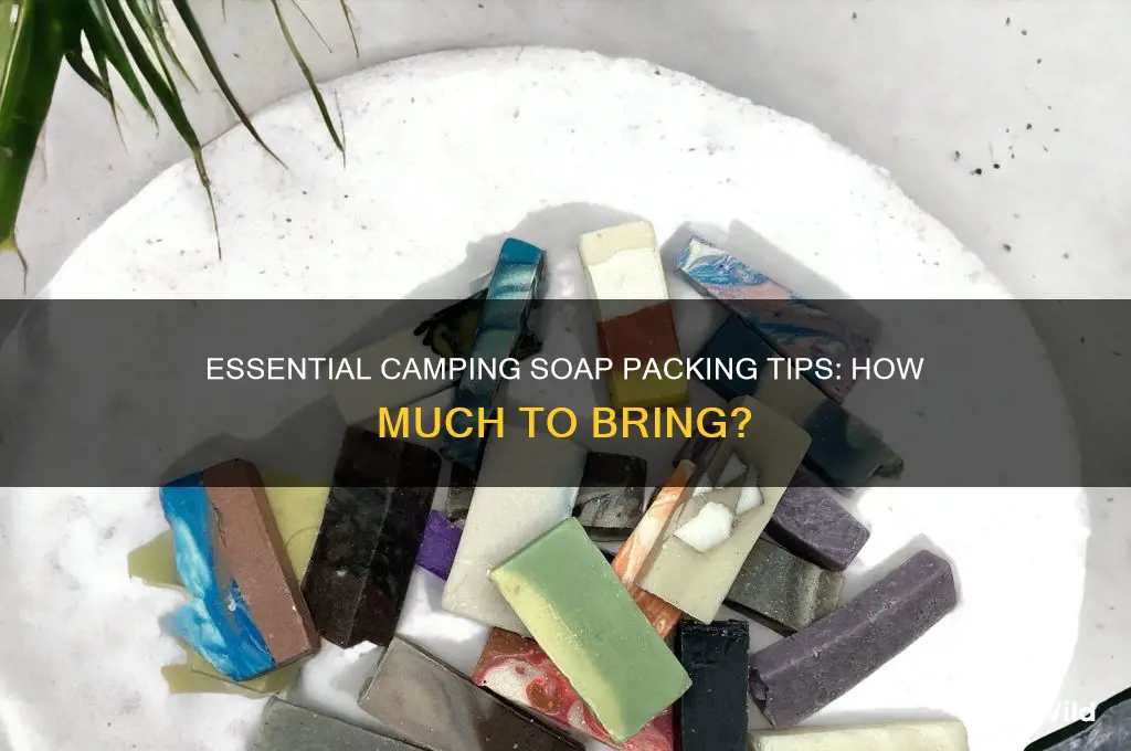 how much soap to bring on a camping trip