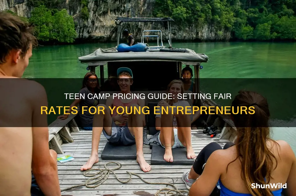 how much sould teenagers charge for camps