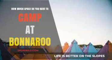 Maximize Your Bonnaroo Camping Experience: Understanding Available Space
