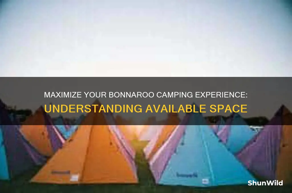 how much space do you have to camp at bonnaroo