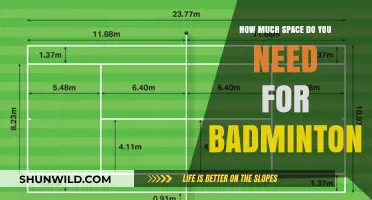 Space Requirements for Badminton: How Much is Enough?
