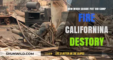 Camp Fire's Devastation: Square Footage of California's Worst Wildfire