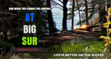 Camping Costs at Big Sur: What to Expect for Your Adventure