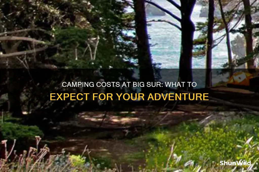 how much they charge for camping at big sur
