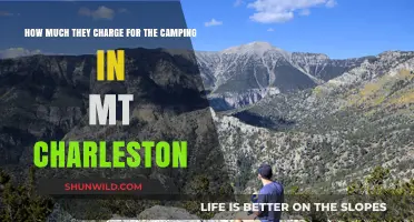 Camping Costs at Mt. Charleston: What to Expect for Your Trip