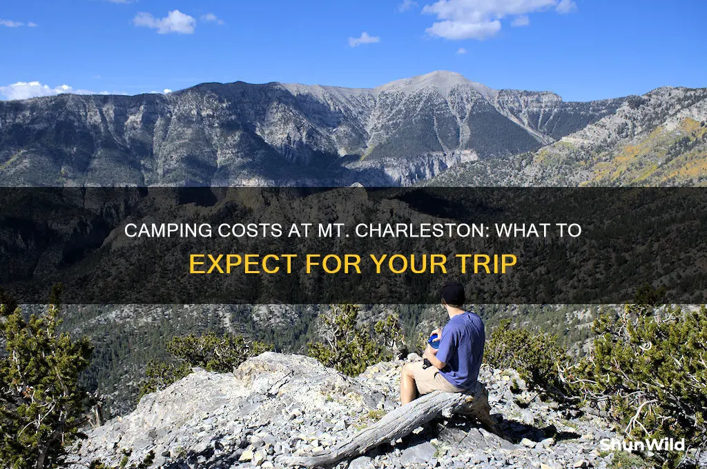 how much they charge for the camping in mt charleston