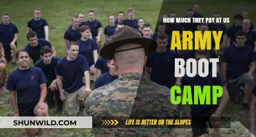 US Army Boot Camp Pay: What Recruits Earn During Training