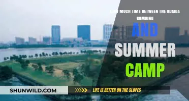 Odaiba Bombing to Summer Camp: Timeline of Events Unveiled