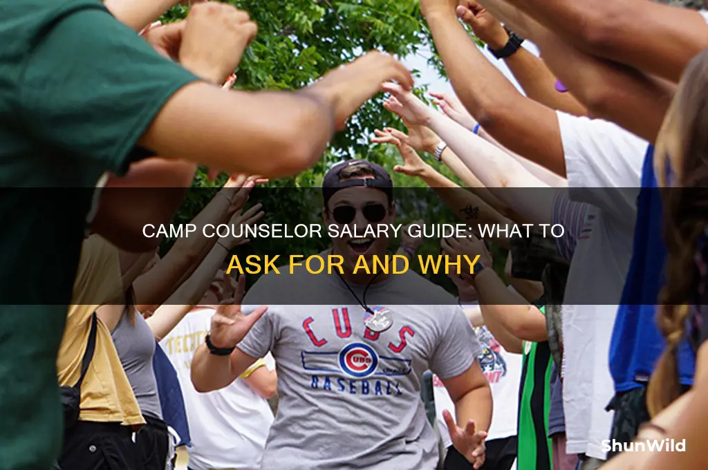 how much to ask for camp cpunselor