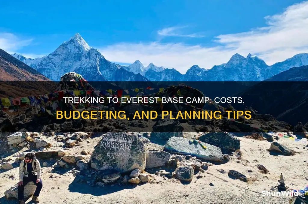 how much to base camp everest