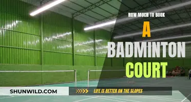 Booking a Badminton Court: How Much Does It Cost?