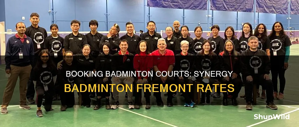 how much to book a court in synergy badminton fremont