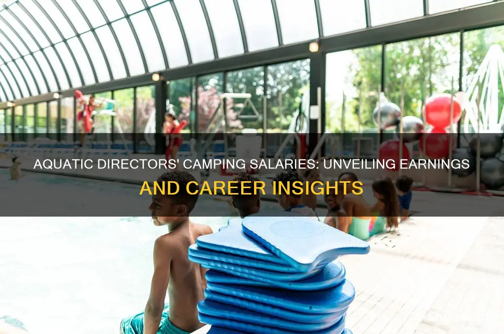 how much to camp aquatic dirctors make