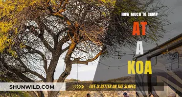KOA Camping Costs: Budget-Friendly Tips for Your Next Adventure