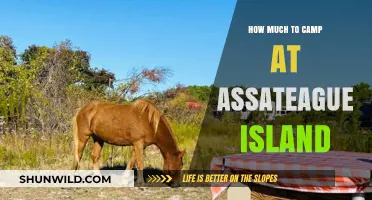 Assateague Island Camping Costs: Budget-Friendly Adventure Guide