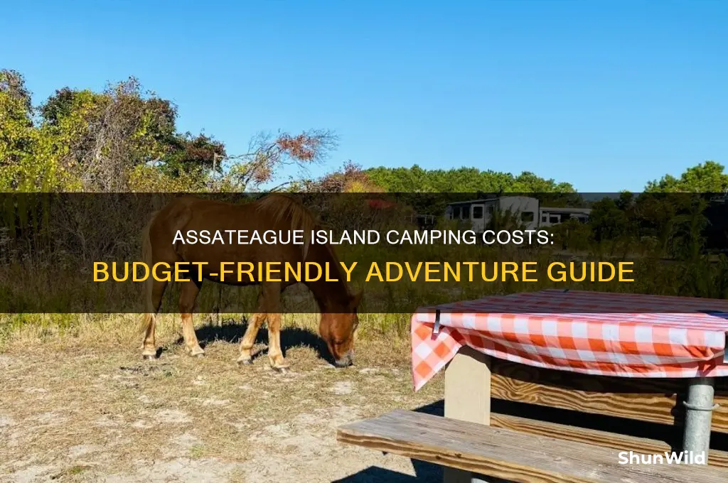 how much to camp at assateague island