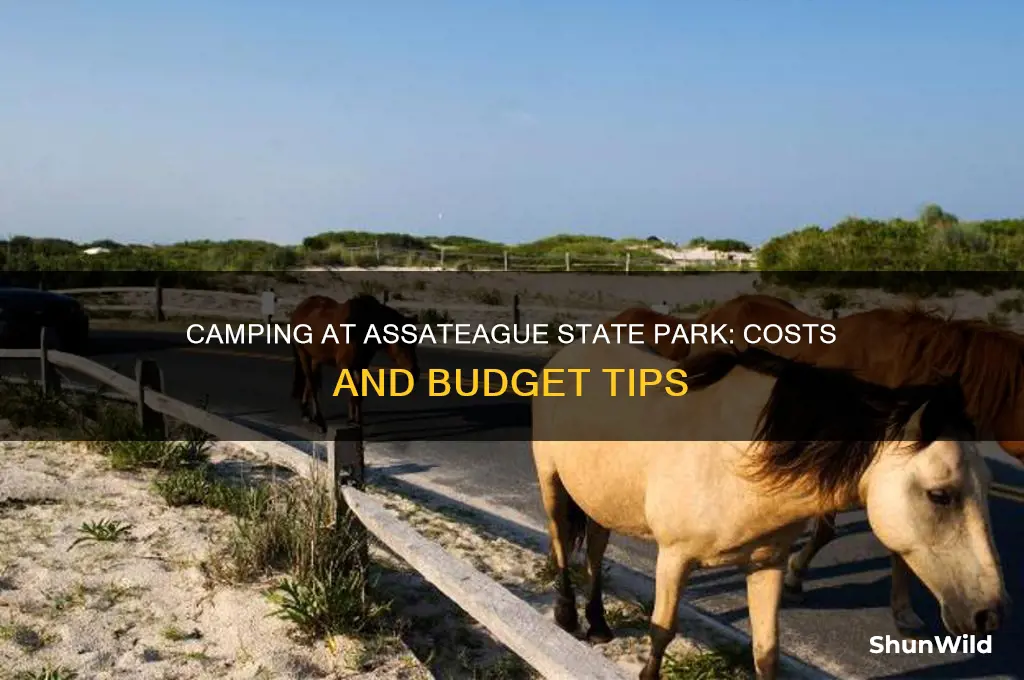 how much to camp at assateague state park