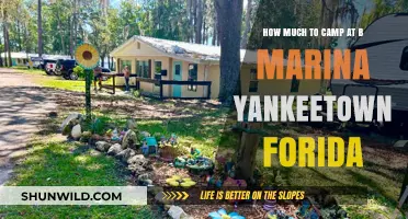 Camping Costs at B Marina Yankeetown, Florida: What to Expect