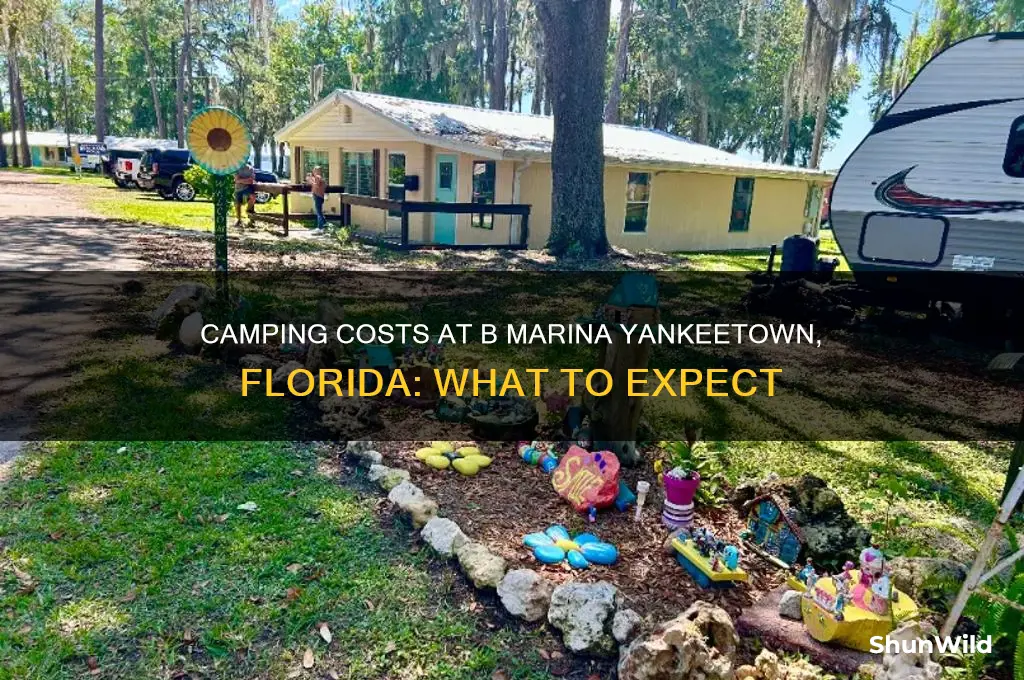 how much to camp at b marina yankeetown forida