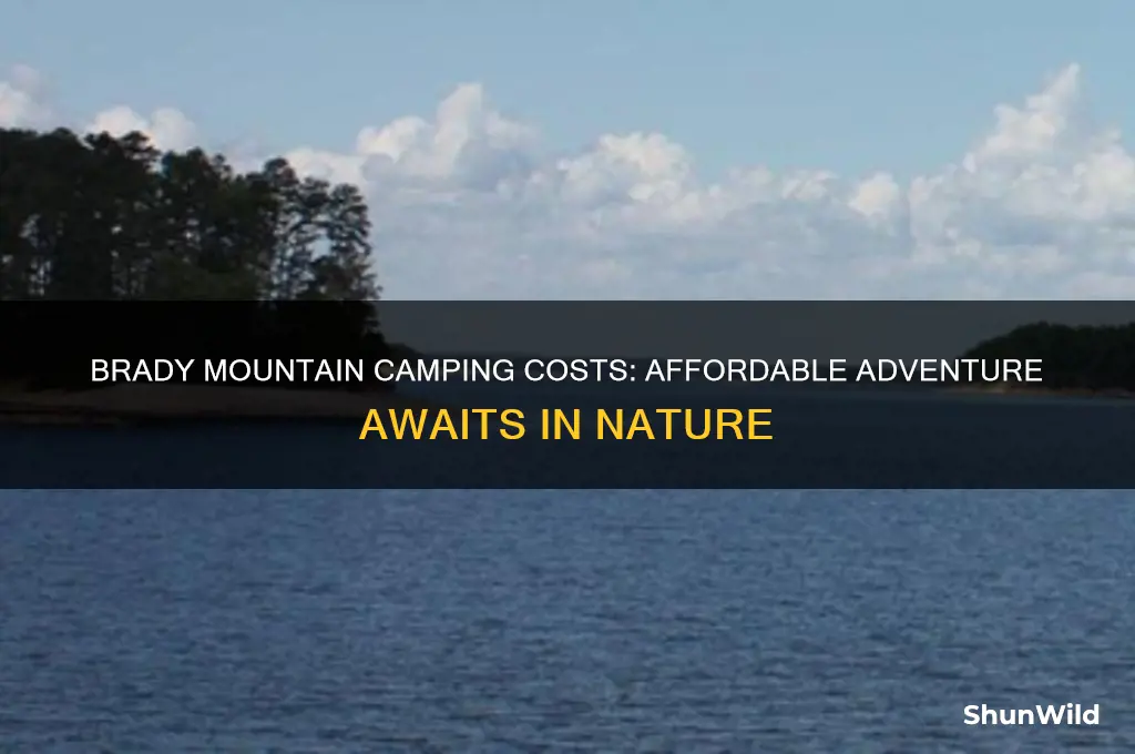 how much to camp at brady mountain