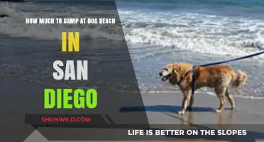Camping at Dog Beach San Diego: Costs and Tips