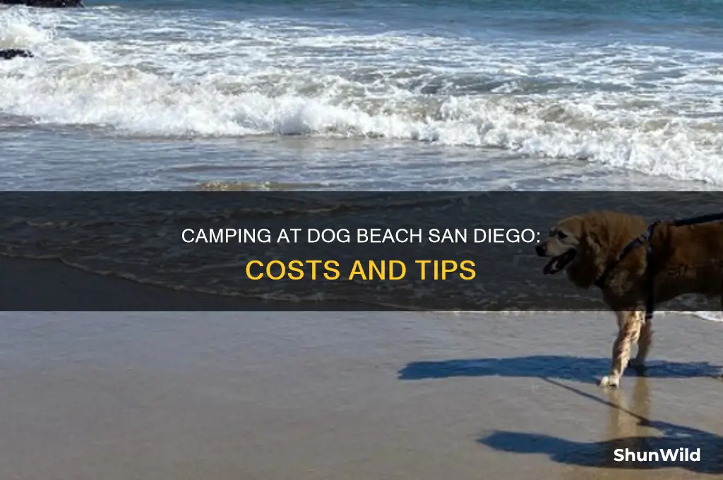 how much to camp at dog beach in san diego