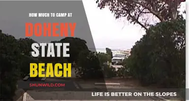 Camping at Doheny State Beach: Cost Guide for Your Coastal Adventure