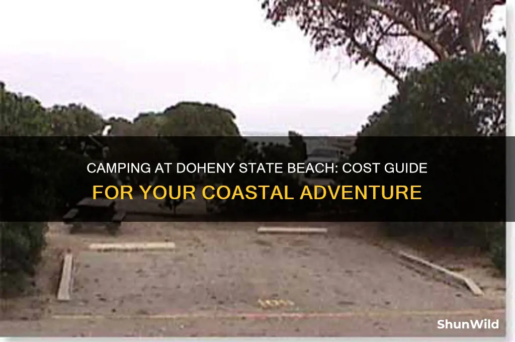 how much to camp at doheny state beach