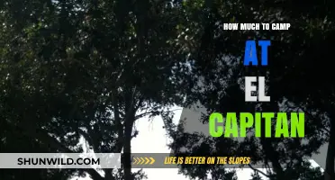 Camping at El Capitan: Cost Breakdown and Budget Tips