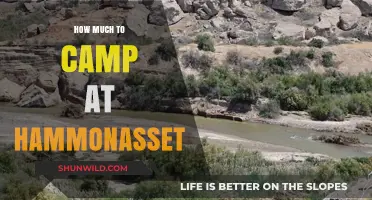 Camping at Hammonasset: Costs, Tips, and Budget-Friendly Options