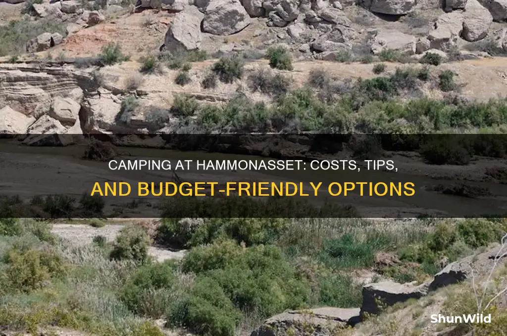 how much to camp at hammonasset