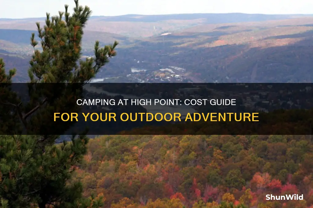 how much to camp at high point
