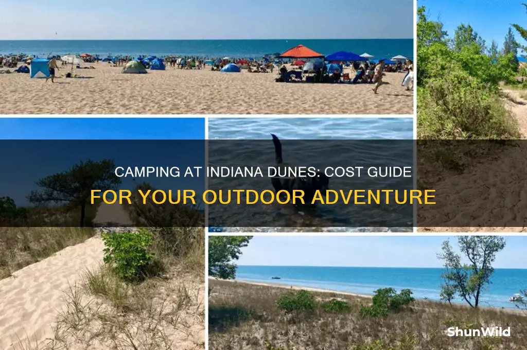 how much to camp at indiana dunes