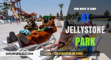 Camping at Jellystone Park: Cost Breakdown and Budget Tips