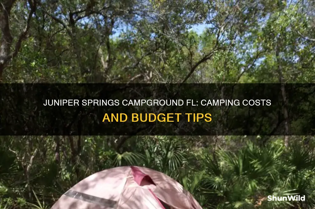 how much to camp at juniper springs campground fl