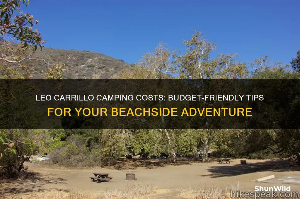 how much to camp at leo carrillo