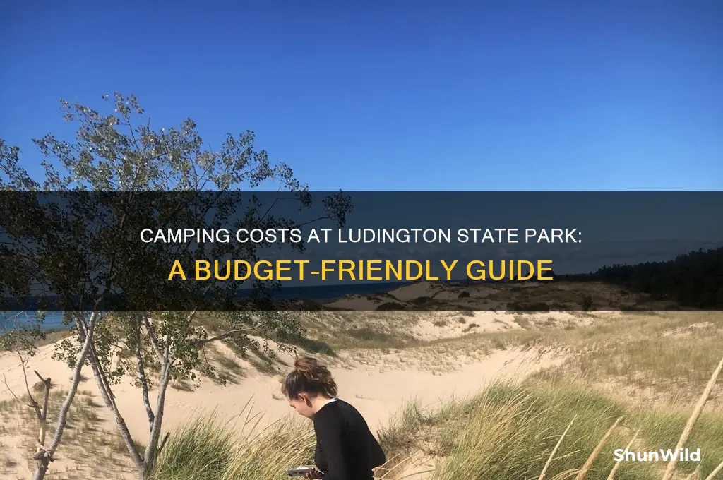 how much to camp at ludington state park