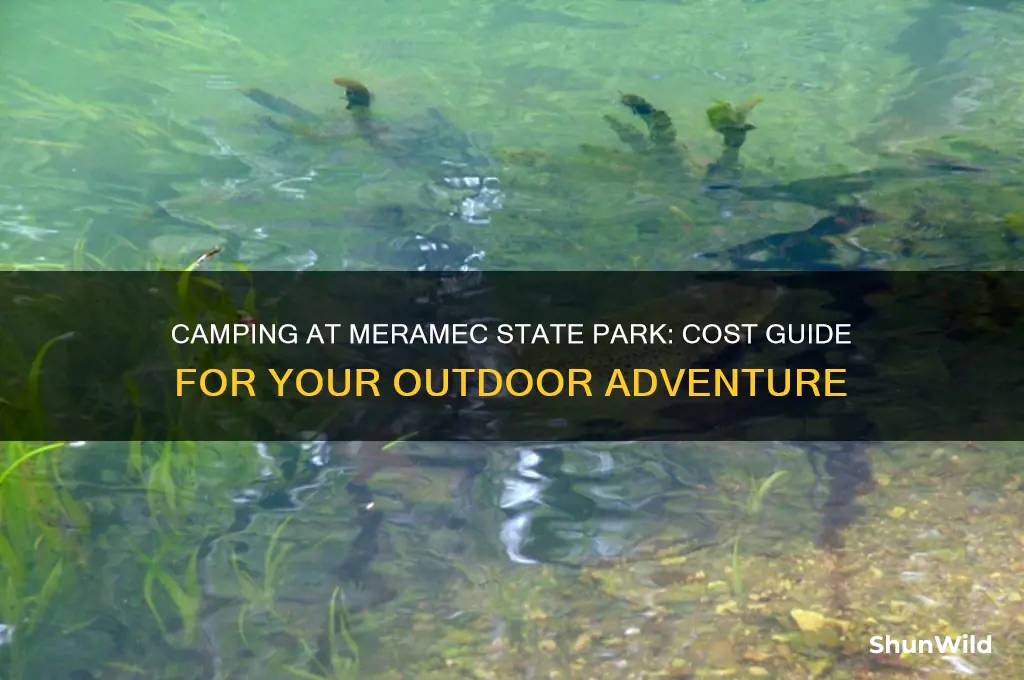 how much to camp at meramec state park