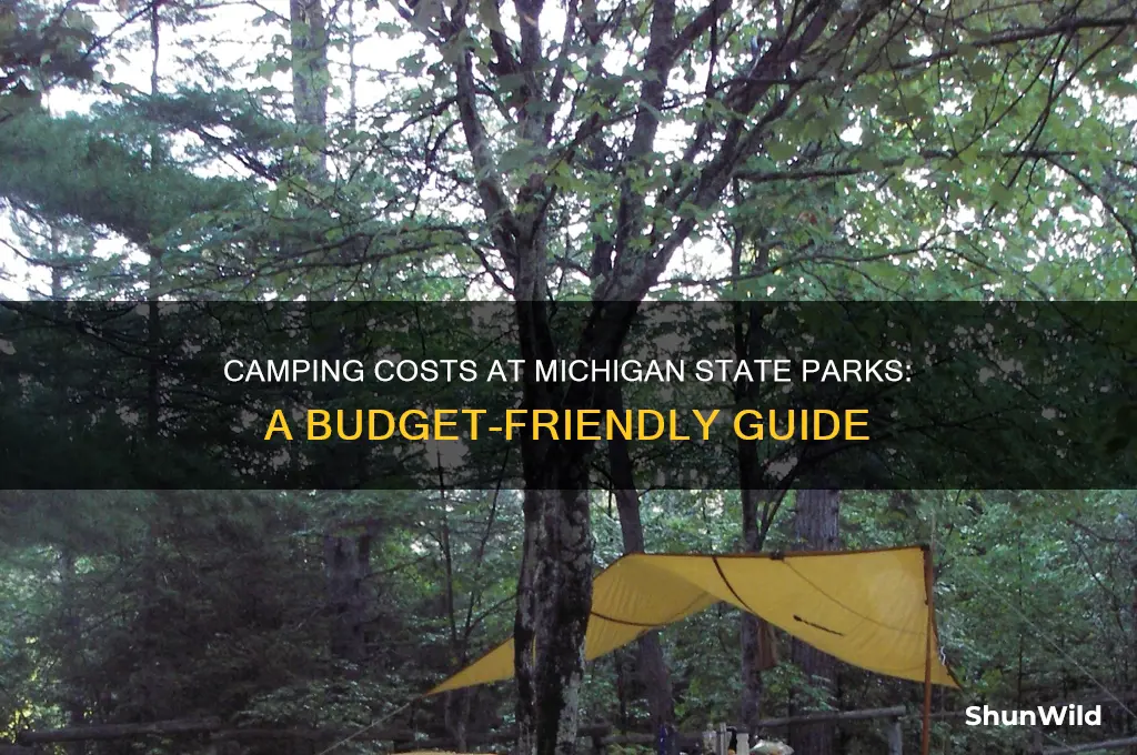 how much to camp at michigan state park
