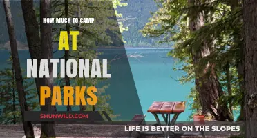 Camping Costs at National Parks: Budget-Friendly Tips for Outdoor Adventures