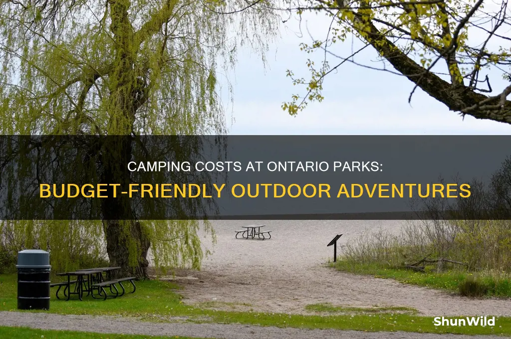 how much to camp at ontario parks