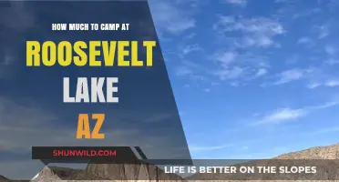 Camping at Roosevelt Lake AZ: Cost Guide for Your Adventure
