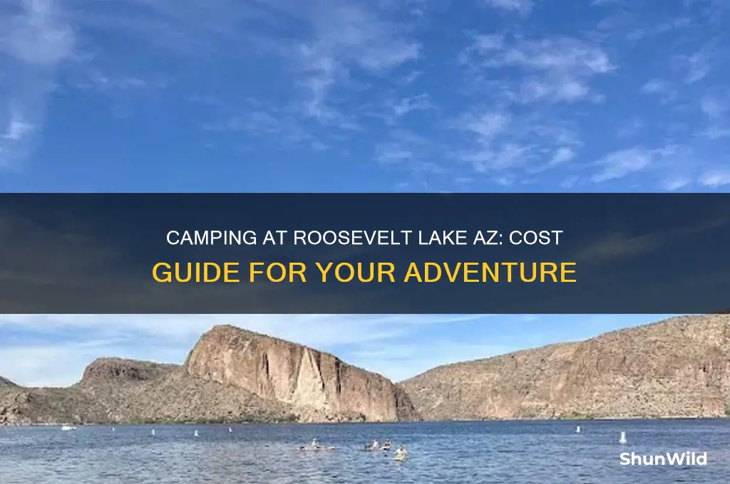 how much to camp at roosevelt lake az