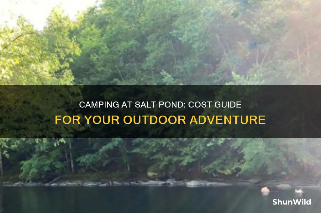 how much to camp at salt pond