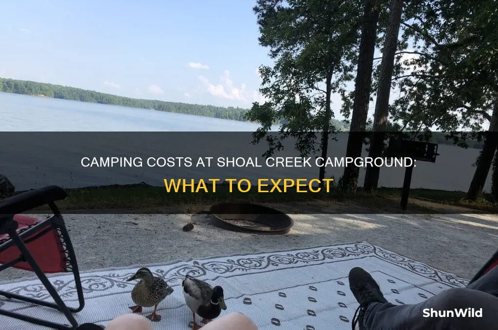 how much to camp at shoal creek campground