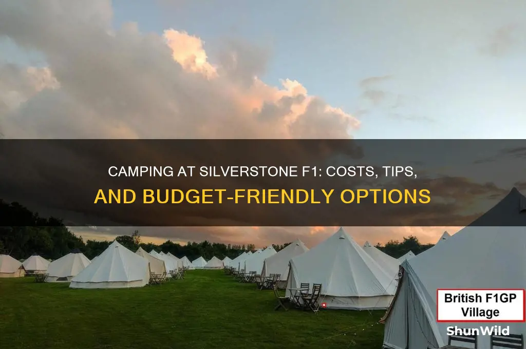 how much to camp at silverstone f1