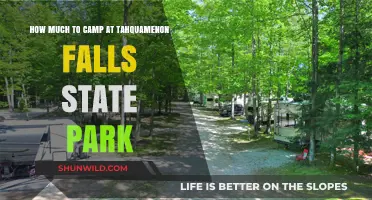Camping Costs at Tahquamenon Falls State Park: A Budget Guide