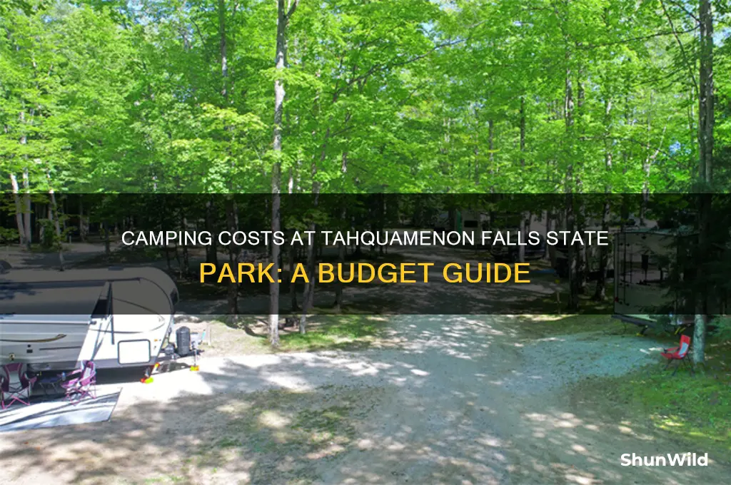 how much to camp at tahquamenon falls state park